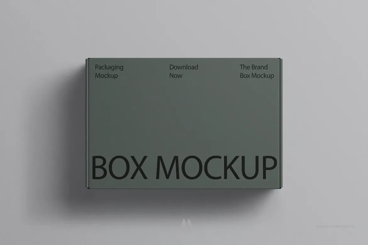 Mockup hộp nắp