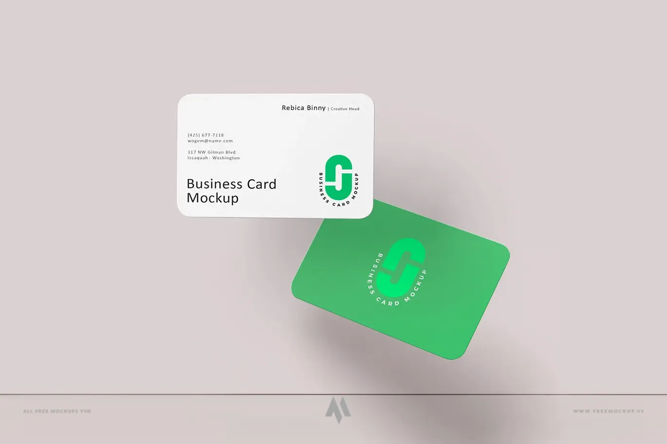 Mockup Card Visit