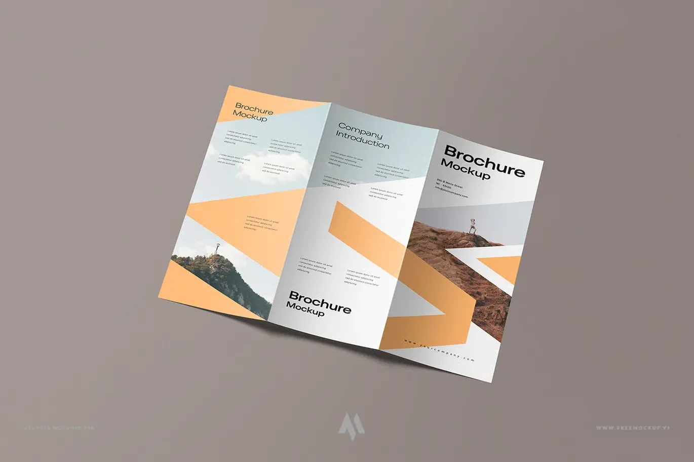 Biến Ý Tưởng Brochure Thành Hiện Thực Sống Động!