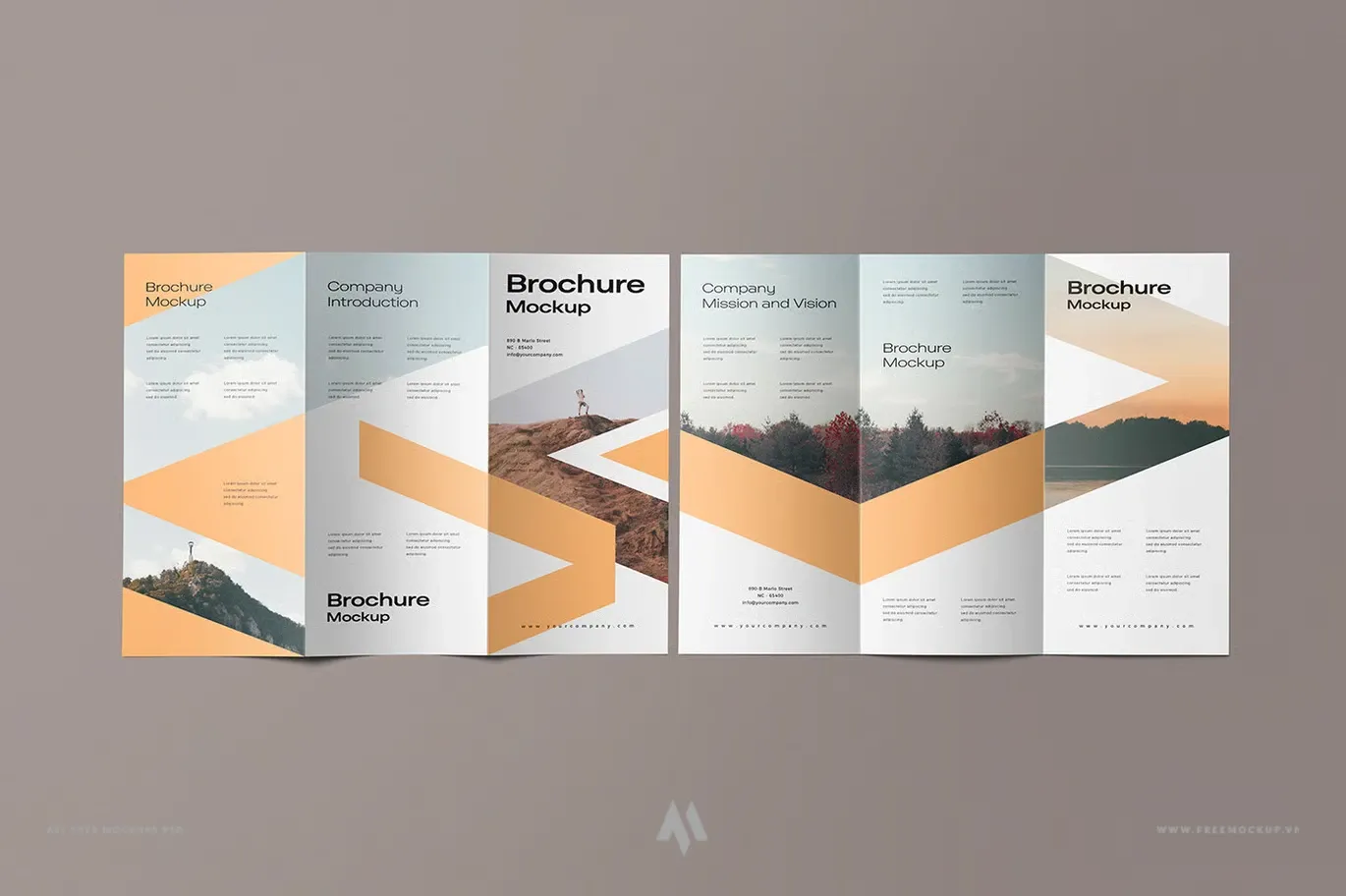 Biến Ý Tưởng Brochure Thành Hiện Thực Sống Động!