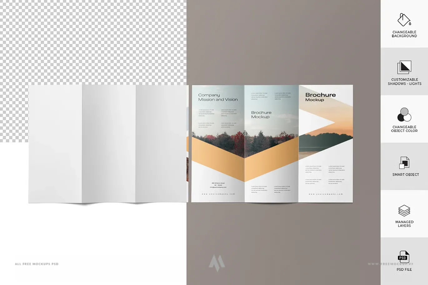 Biến Ý Tưởng Brochure Thành Hiện Thực Sống Động!