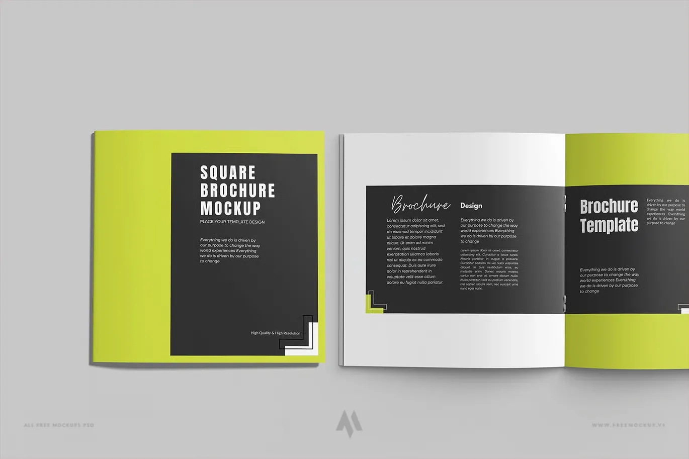 Mockup Brochure Vuông: Trình Bày Thiết Kế Đỉnh Cao!