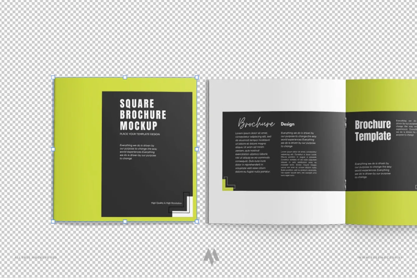Mockup Brochure Vuông: Trình Bày Thiết Kế Đỉnh Cao!