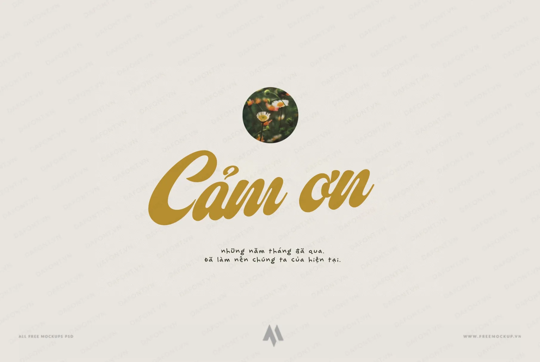 Font DFVN ED Piedmont việt hóa – Font script đậm