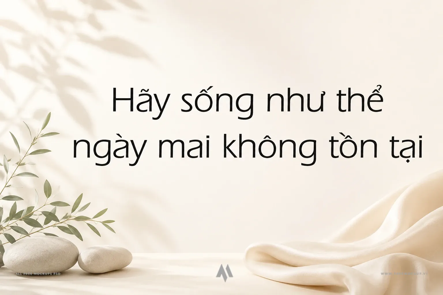 Font SFU Ergoe Việt Hóa